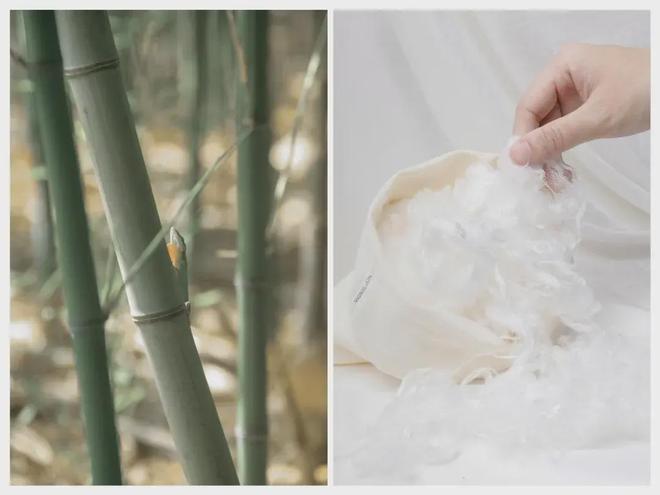 est Designs真正出圈的底层逻辑澳门新葡京网页颜值与实力双轮驱动拆解N(图5) est Designs真正出圈的底层逻辑澳门新葡京网页颜值与实力双轮驱动拆解N(图5)