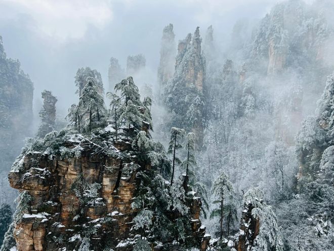 队访谈:16个旅行场景的专业服务解码新葡京娱乐城张家界众腾国旅玲玲导游团(图5) 队访谈:16个旅行场景的专业服务解码新葡京娱乐城张家界众腾国旅玲玲导游团(图5)