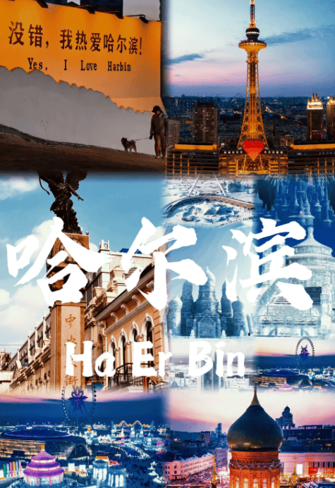 规旅行社排行榜 口碑前十权威揭晓澳门新葡京网页2025哈尔滨正(图2)